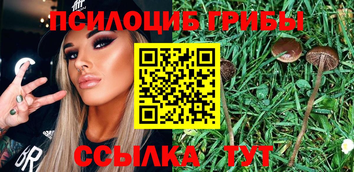 Псилоцибиновые грибы ЛСД Брянск
